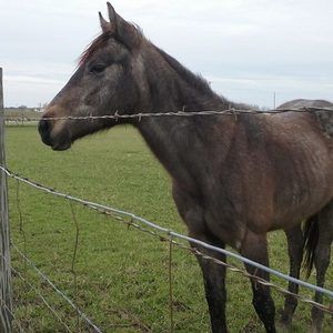 Meet your Posher, Sebastian